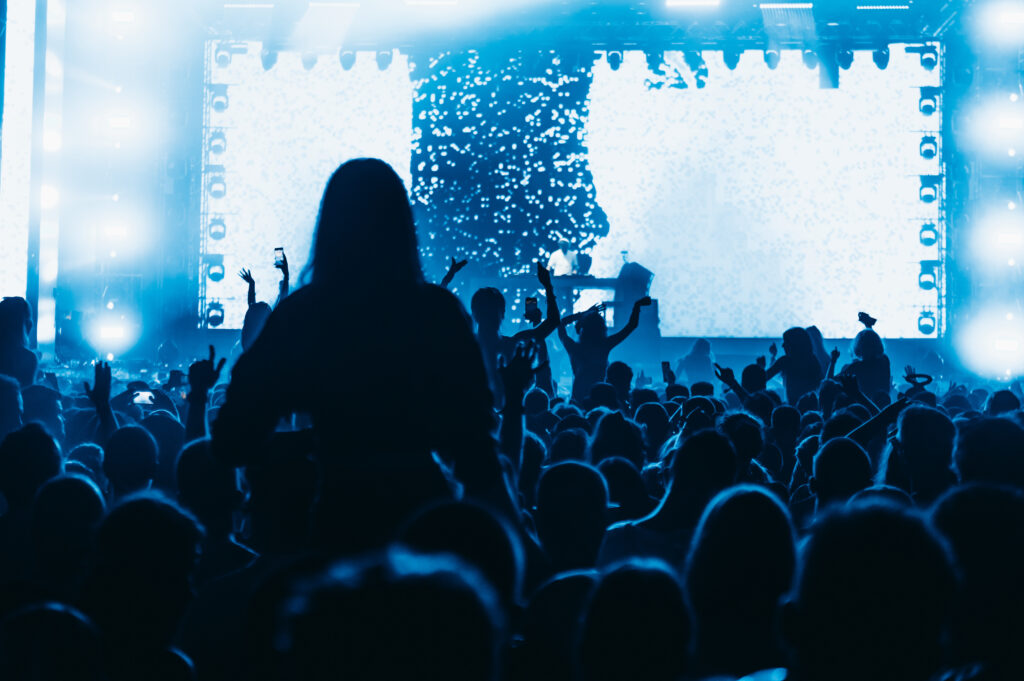 concert crowd on a music concert
